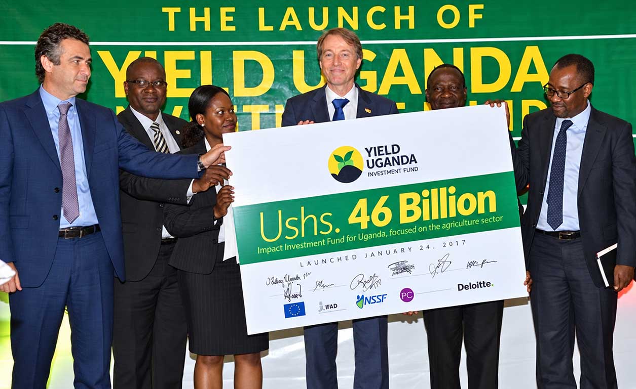 Yield Uganda Investment Fund opens doors to catalytic agribusiness funding